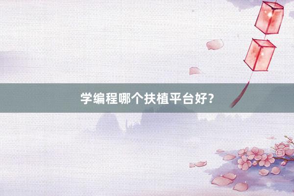 学编程哪个扶植平台好？